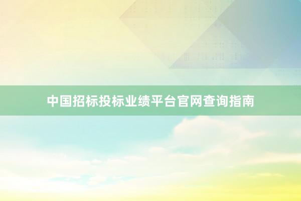 中国招标投标业绩平台官网查询指南
