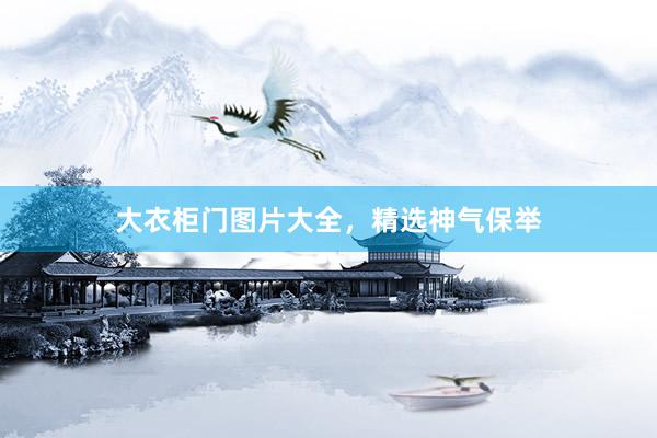 大衣柜门图片大全，精选神气保举