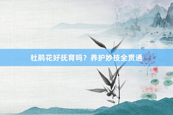 杜鹃花好抚育吗？养护妙技全贯通